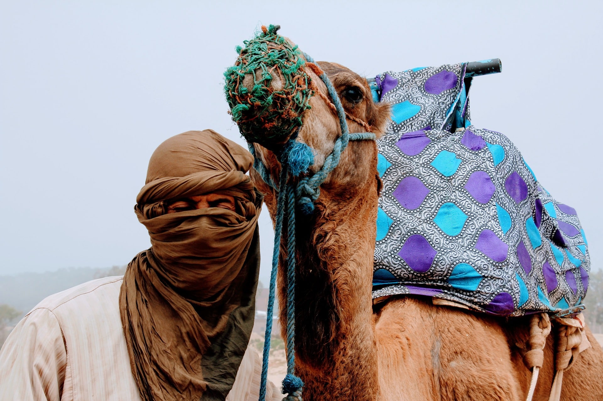 guía-desierto Sahara-Marruecos