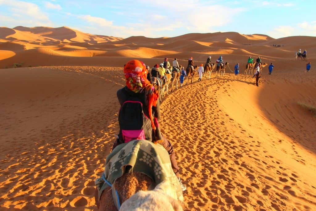 Caravana de camellos en Merzouga, desierto de Marruecos
