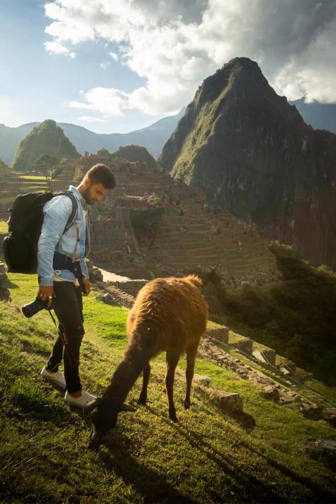 Auquénido en Machu Picchu, 10 lugares imprescindibles que ver en Perú
