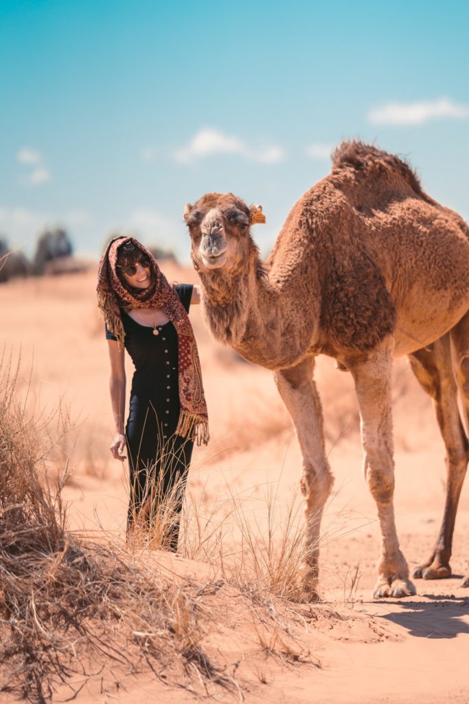 Pasear por el desierto en camello
