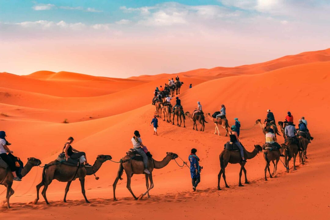 touristes avec des chameaux dans le desert du maroc