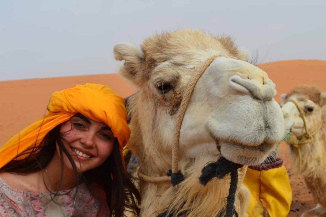 jeune femme avec un foulard aux côté d´un chameau dans le désert du Sahara au Maroc